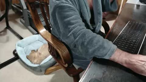 Snapshot of billy471 chatting on December 2025 10:35:01 AM billy471 online show from December 2025 10:35:01 AM