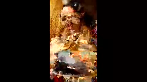 bina241986 online show from June 2026 05:01:02 PM