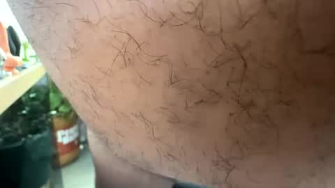 bisfurbear online show from June 2026 10:09:02 PM