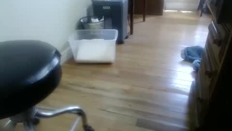 bitexan69 online show from September 2025 05:07:01 PM