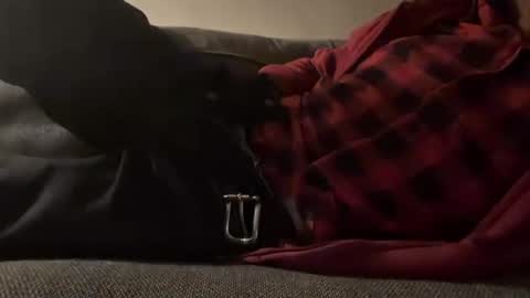 biznesstime69 online show from December 2025 11:32:02 PM