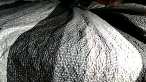 Snapshot of bjaybaby chatting on February 2026 05:47:02 AM bjaybaby online show from February 2026 05:47:02 AM