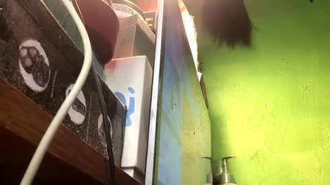 Crystal online show from November 2025 02:49:02 PM