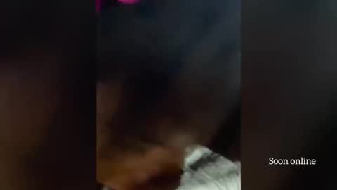 Snapshot of blackdominion chatting on December 2025 03:58:02 AM Lilly and Bryson online show from December 2025 03:58:02 AM