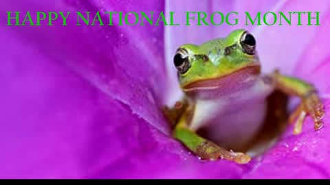 Queen Siren online show from April 2026 08:26:01 AM