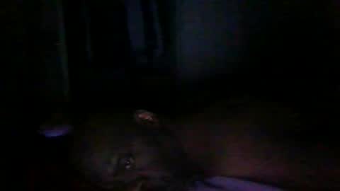 Snapshot of blackteddybear chatting on March 2026 12:58:02 AM blackteddybear online show from March 2026 12:58:02 AM