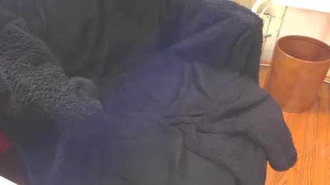 Aqua online show from February 2025 06:47:02 PM