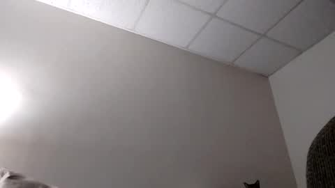 blahblam420 online show from February 2025 07:50:01 AM