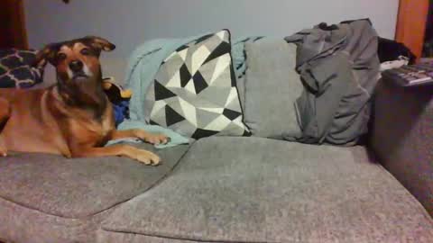 blaw_1321 online show from January 2025 05:37:02 AM