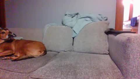 blaw_1321 online show from March 2025 09:59:02 PM