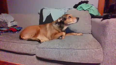 blaw_1321 online show from March 2025 05:59:02 AM