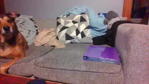 blaw_1321 online show from September 2025 07:43:01 AM