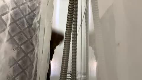 blkbiguncut10462 online show from February 2025 06:15:02 PM