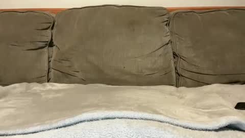 Snapshot of blondiedicks1 chatting on September 2025 01:12:01 PM blondiedicks1 online show from September 2025 01:12:01 PM