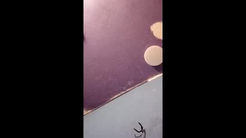 Snapshot of blue17562 chatting on April 2026 03:16:01 PM blue17562 online show from April 2026 03:16:01 PM