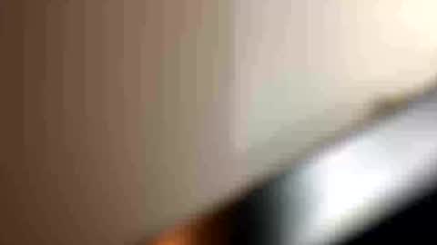 blue_cum_bunny123 online show from July 2026 04:07:02 AM