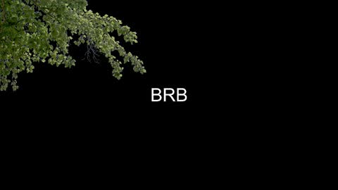 SONNYVAN online show from January 2026 10:25:02 PM