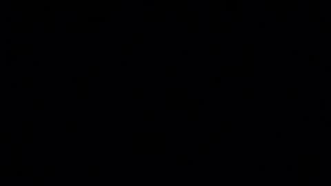 BLUEiSH-GOLD online show from July 2026 01:40:01 PM