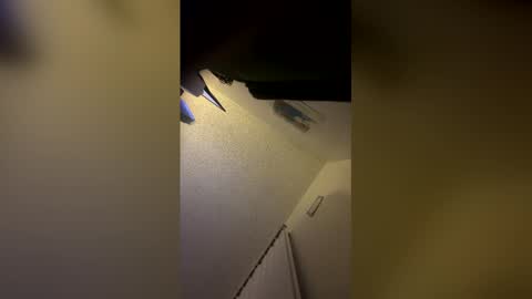 Snapshot of bluubabe chatting on April 2026 04:08:02 AM bluubabe online show from April 2026 04:08:02 AM