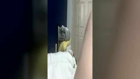 bmcluving online show from June 2026 04:47:01 AM