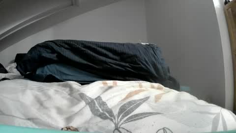 bo22222222 online show from July 2026 06:22:02 AM
