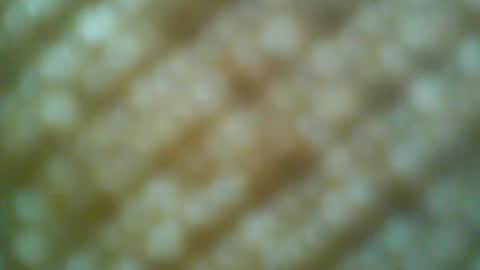 Snapshot of boatman00769 chatting on May 2026 06:31:02 PM Motto Motto online show from May 2026 06:31:02 PM