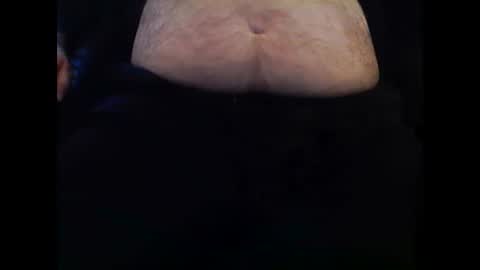 Snapshot of bob1356 chatting on December 2024 01:13:01 PM Robert online show from December 2024 01:13:01 PM