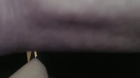 Bob online show from December 2025 09:00:01 PM