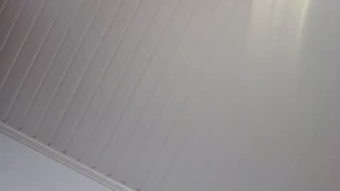 Dan online show from June 2026 08:22:02 PM