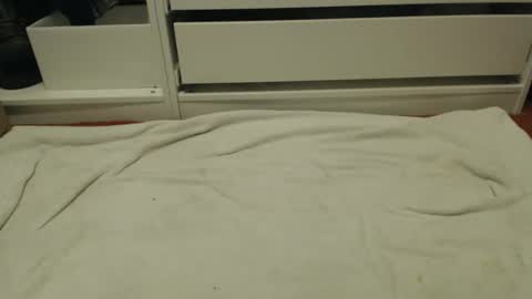 Snapshot of bobbuild chatting on January 2026 08:40:02 PM bobbuild online show from January 2026 08:40:02 PM