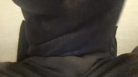 boblight221 online show from January 2025 09:58:02 PM