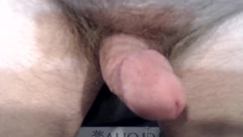 Snapshot of bobswan chatting on December 2024 03:55:01 PM bobswan online show from December 2024 03:55:01 PM