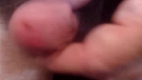 Snapshot of bobswan chatting on October 2025 06:52:01 PM bobswan online show from October 2025 06:52:01 PM