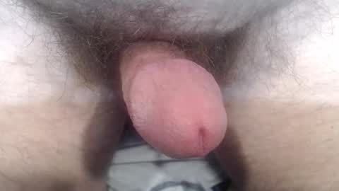 Snapshot of bobswan chatting on October 2025 03:41:01 PM bobswan online show from October 2025 03:41:01 PM