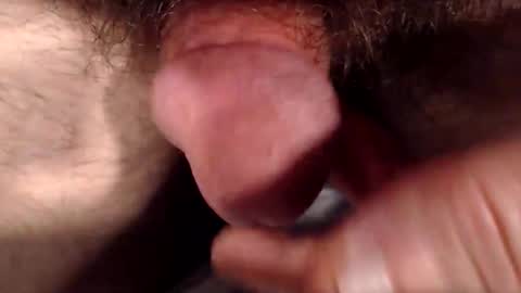 Snapshot of bobswan chatting on December 2025 05:09:01 PM bobswan online show from December 2025 05:09:01 PM