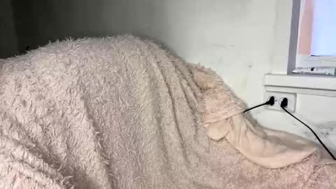 Snapshot of bohemia777 chatting on April 2026 01:33:02 PM bohemia777 online show from April 2026 01:33:02 PM