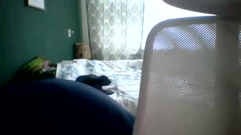 bomba8111 online show from January 2025 11:45:02 AM