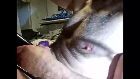 Snapshot of bonop1 chatting on March 2026 10:19:01 AM bonop1 online show from March 2026 10:19:01 AM