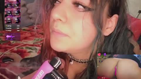 Nova  sub to my fan club for free pms and sexy sloppy videos  online show from May 2026 08:53:02 AM