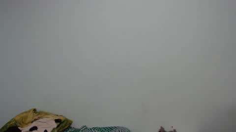 Snapshot of boobs_helling_ chatting on December 2024 08:00:02 PM Luciana independent model online show from December 2024 08:00:02 PM