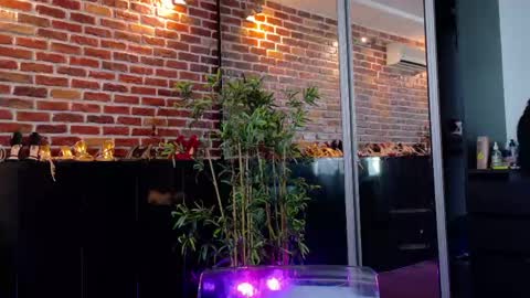 boobzilla_ online show from May 2026 05:04:02 AM