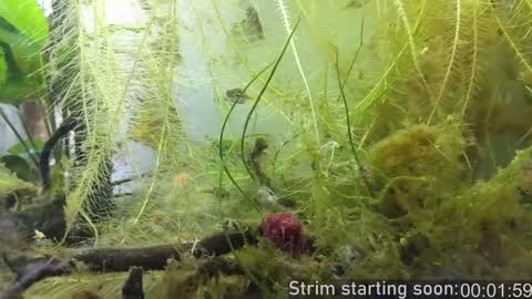 Booker Baxton online show from December 2024 04:09:02 AM