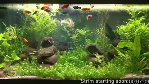 Booker Baxton online show from December 2024 04:04:01 AM