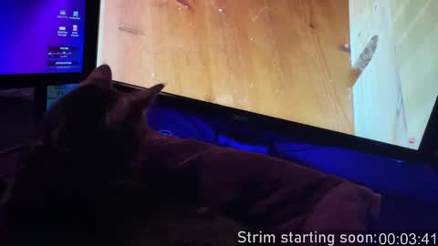 Booker Baxton online show from September 2025 03:07:02 AM