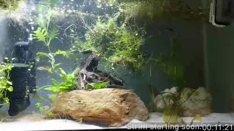 Booker Baxton online show from September 2025 02:57:02 AM