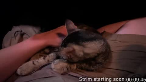 Booker Baxton online show from September 2025 03:01:01 AM