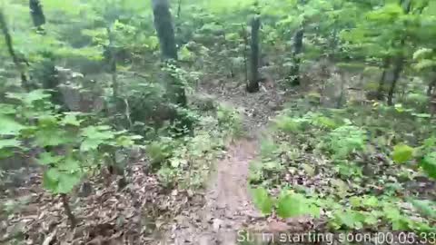 Booker Baxton online show from October 2025 03:04:02 AM