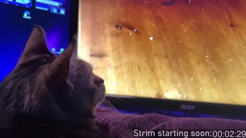 Booker Baxton online show from November 2025 04:07:02 AM