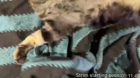 Booker Baxton online show from March 2026 03:01:02 AM