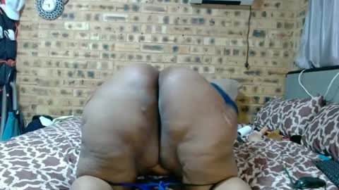 bootytwerkxxx online show from June 2026 06:40:02 AM